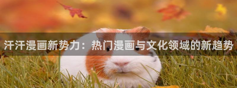 香蕉漫画在线观看免费网页：汗汗漫画新势力：热门漫画与文化领域的新趋势
